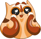 Cute tabby cat with heart eyes